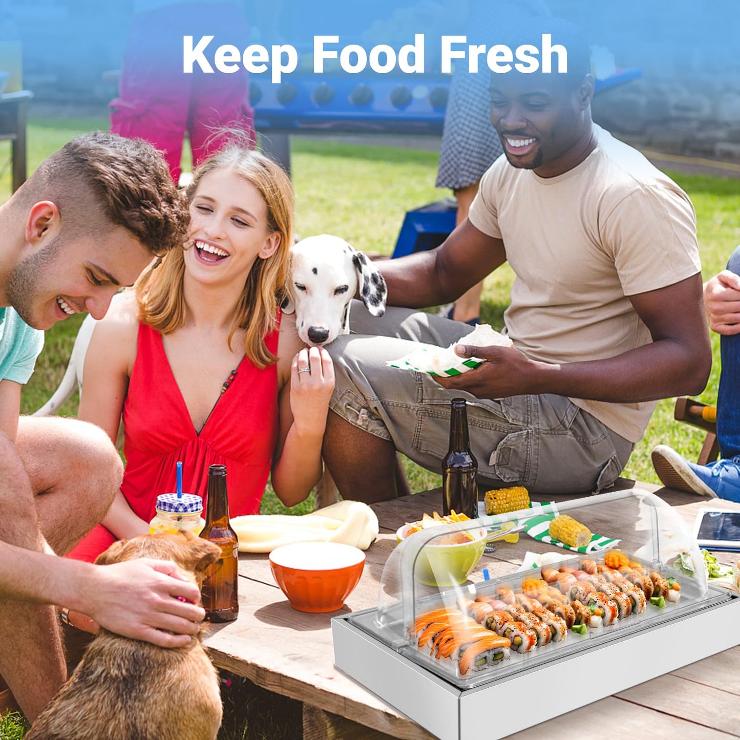 Countertop Ice Food Serving Display Tray with 1 Pan, Portable Salad Bar Buffet Station, Stainless Steel Cold Food Buffet Server with Clear Roll Top Cover, Chilled Serving Tray for Home Party Buffet