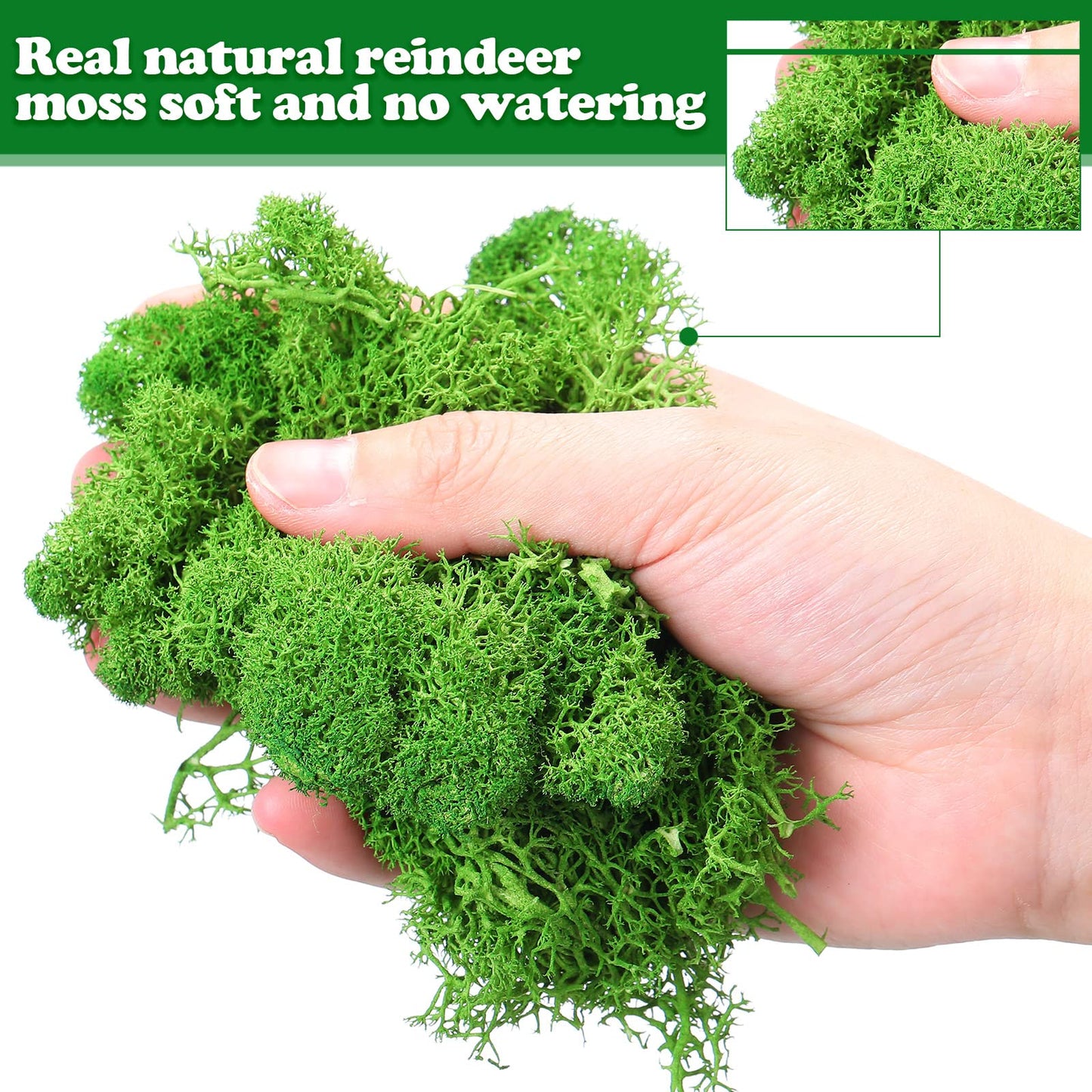 Jadive 21.2 oz Moss Preserved 1.32 Lbs Green Preserved Reindeer Moss Bulk Artificial Decorative DIY Kit for Craft Wall Decor Fairy Gardens Terrariums Art Project Table Floral Decor