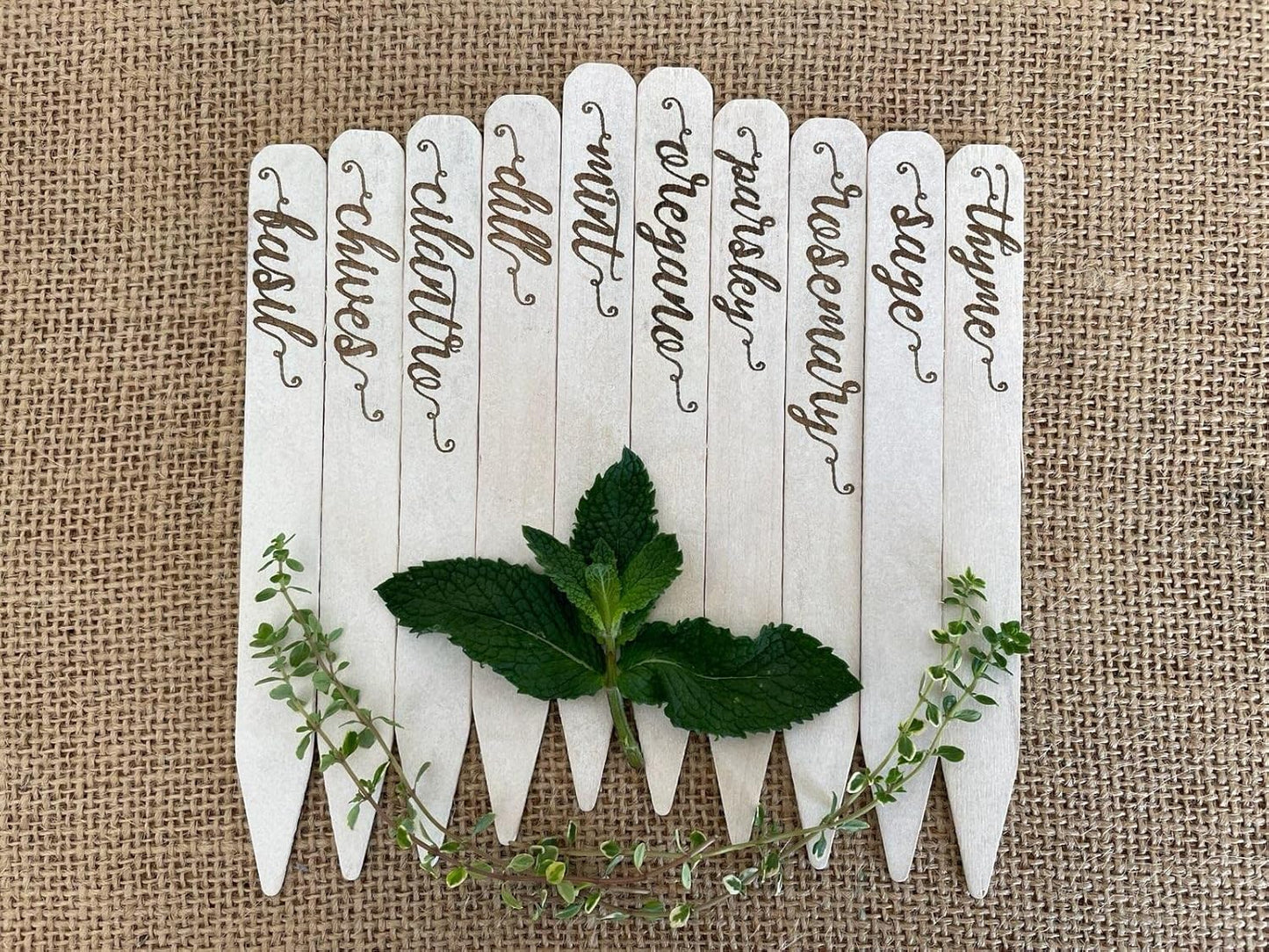 Gardinnovations 10-Pack Plantid Assorted Kitchen Herbs! Farmhouse Decor Outdoor Indoor Herb Garden Stakes, Plant
