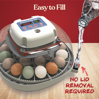 Harris Farms Nurture Right Egg Incubator for Hatching Chicks, Holds 12-22 Eggs, Automatic Turner with Temperature and Humidity Control, 360 Degree View with Clear Window, Incubator for Hatching Eggs
