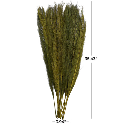 Deco 79 Dried Plant Leaves Home Decor Natural Foliage Natural Dried Foliage with Feather Inspired Stems, Foliage for Decoration 4" x 1" x 35", Green