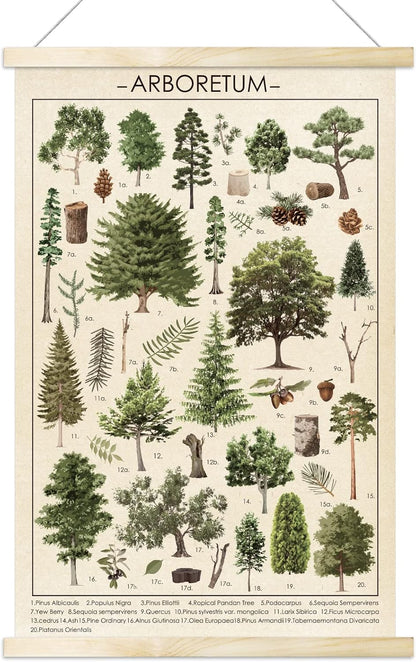 Tevxj Vintage Tree Poster Plant Wall Art Prints, Rustic Style Arboretum Wall Hanging Illustrative Reference Chart for