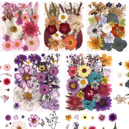 Cokosing 5 Packs of 140 Pressed Dried Flowers and Leaves Real Natural Dried Flowers with Tweezers for DIY Crafts, Resin Jewelry, Card Making, Soap, Candles, Nail Art, and Scrapbooking (5 Colors)