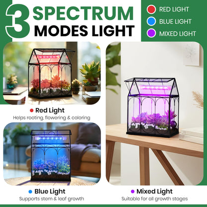 Meonum Tiny Glass Terrarium Kit with Grow Light, Venus Fly Trap Terrarium with Absorbent Mat, Timer&3 Light Modes for Succulent Live Air Plants Indoor Home Office Decor (7.1"x 4.7"x 8.7",USB Powered)