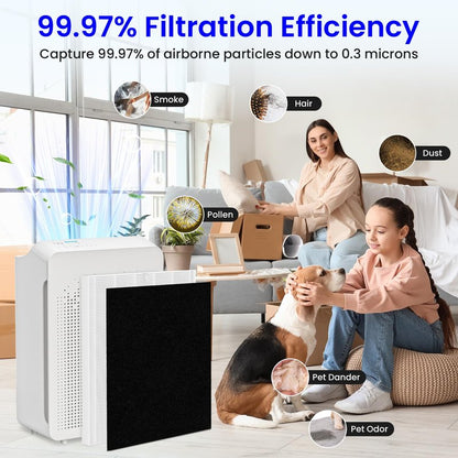 Future Way 2-Pack C545 Replacement Filter S Kit Compatible with Winix C545 Air Purifier, 2 H13 True HEPA Filter + 8 Activated Carbon Filters, Replace 1712-0096-00