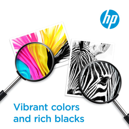 HP 952XL Black High-yield Ink Cartridge for HP Printers | Works with HP OfficeJet 8702; HP OfficeJet Pro 7720, 7740, 8210, 8216, 8710, 8715, 8720, 8725, 8730, 8740 | Eligible for Instant Ink | F6U19AN