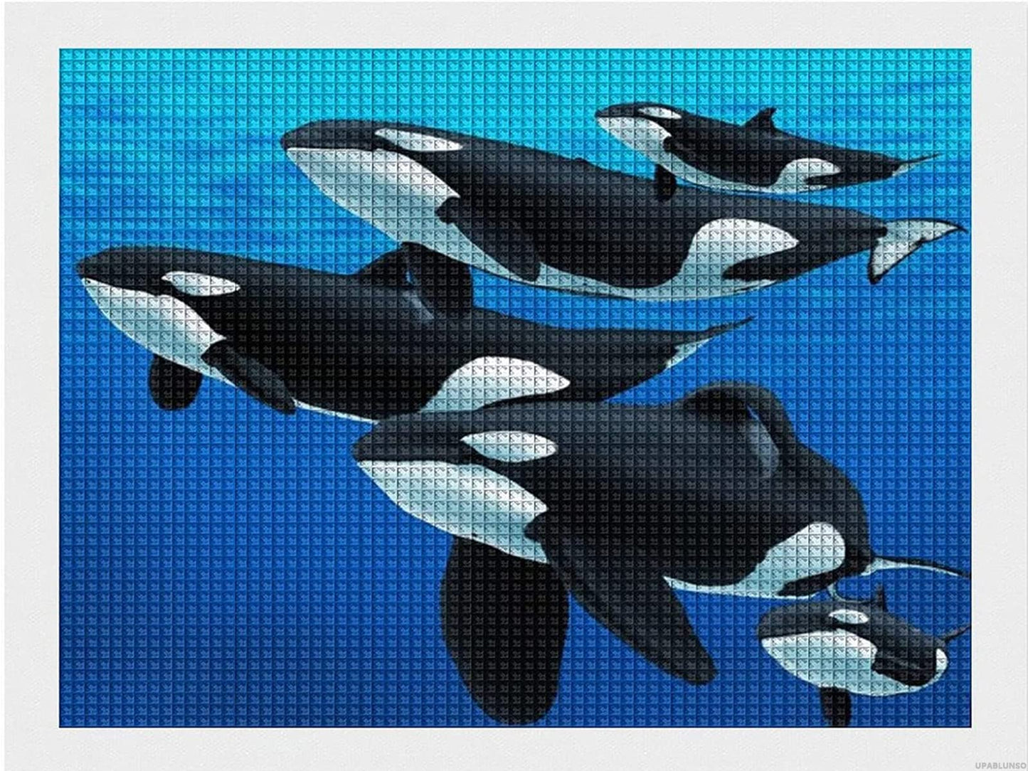 UPABLUNSO Orca Killer Whale Diamond Painting Kits Rhinestone Pictures Art Craft by Numbers for Home Decor & Gifts 12x16 Inch