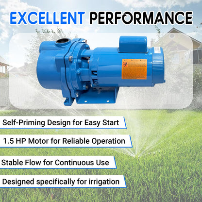 WeenthAvenue GT15 Self-Priming Single Phase Centrifugal Pump, 1.5hp, Single Phase Cast Iron Water Pump Fit for Agricultural & Garden Irrigation
