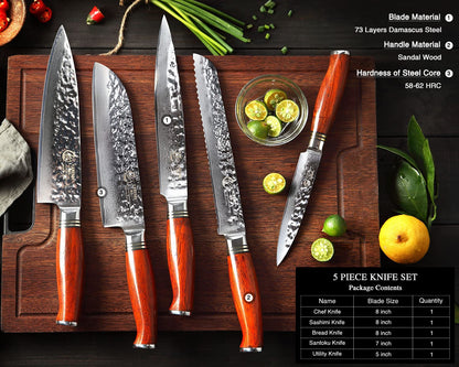 YARENH Chef Knife Set without Block, 5 Piece Professional Sharp Kitchen Knives,Damascus Stainless Steel, 73 Layers, Full Tang, Dalbergia Wood Handle, HTT Series