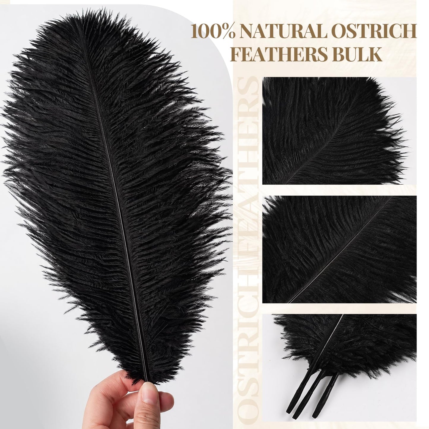 Natural Black Ostrich Feathers Bulk 40 Pack, 10-12 in, 8-10 in (20 Pcs Each), for DIY Vase Craft Wedding Party Centerpieces Christmas Decoration