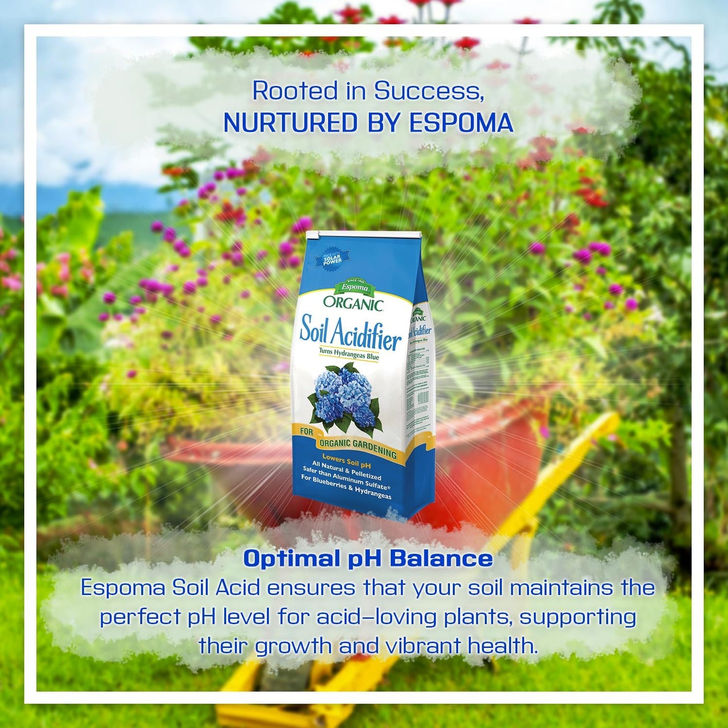 6 lbs 20 Espoma Organic Soil Acidifier Bag With My Garden Pool PH Test Strips ct. - Acidify, Enhance Hydrangea Color