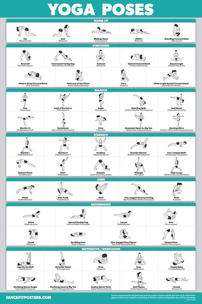 Palace Learning QuickFit Yoga Position Poster - Laminated Yoga Asana Poses Chart, 18" x 24"