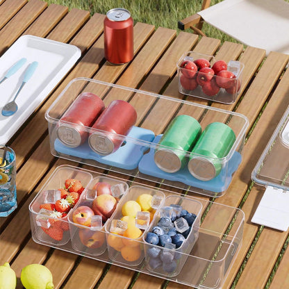 Double-Layer Chilled Portable Snackle Box with 5 Removable Compartments, 4 Ice Packs & Insulated Bag, Keeps Food Chilled or Warm, Extra Layer for Drinks, Fruits & Candy, Dishwasher-Safe for Road Trips