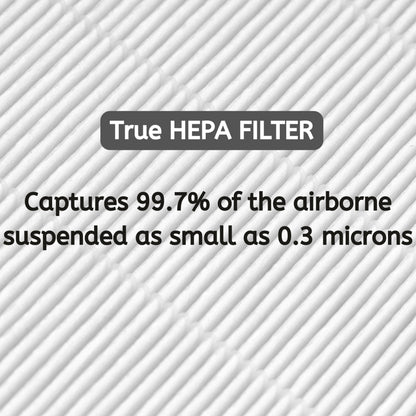 Nispira 3-in-1 HEPA Pre Filter Replacement Compatible with T300 T100 Smart Air Purifier. Compared to Part TF30-Fresh + Carbon, Pack of 2