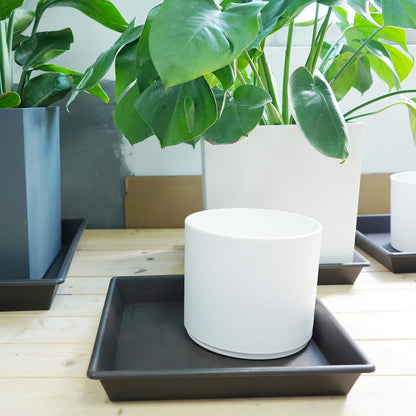 NIMYAU 12 Inch 2 PackPlant Square Plant Saucer Stand Plant Trays for Pots Heavy Duty Plastic Plant Saucers for Indoors
