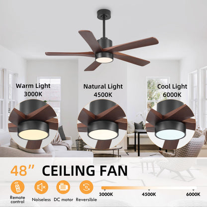 WINGBO 48 Inch DC Ceiling Fan with Lights and Remote Control, 5 Carved Solid Wood Blades, 6-Speed Noiseless Reversible DC Motor, Indoor Ceiling Fan in Matte Black Finish with Walnut Blades