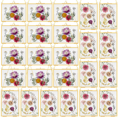 Barydat 12 Pack Pressed Flowers Glass Frames, 5 x 7 Inch Brass Hanging Floating Frame with Chain, Double Glass Photo Display for Dried Flowers, Plant Specimen, Artwork Display (Gold)