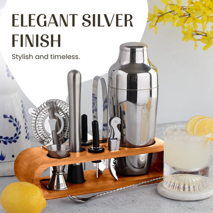 Mixology & Craft Cocktail Shaker Set with Bamboo Stand - Professional 10-Piece Bartender Kit - Complete Bar Set & Cocktail Mixer Kit for Home (Silver)