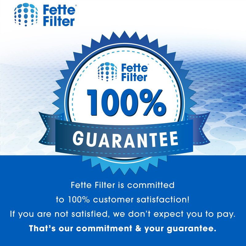 Fette Filter - 2- Pack Filter with Bissell 2156A, 1665, 16652, 1665W, 2156E Canister Vacuum, Compare to Part 1613056 for Bissell Zing, AeroSwift, and Powerforce Canister Vacuums - Pack of 2