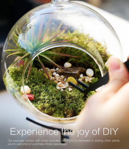 LUCKYRUNES DIY Terrarium Kit with Live Moss, 15-Piece Glass Globe Set with Wooden Stand, Tools, Soil, Stones & Spray Bottle, Indoor Mini Garden Gift for Plant Lovers, Home Desk Decor