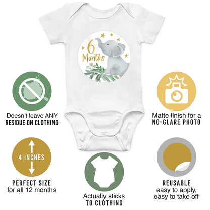 Hadley Designs 20 Monthly Baby Milestone Stickers-Elephant Baby Monthly Milestone Stickers, Newborn, Photo Props