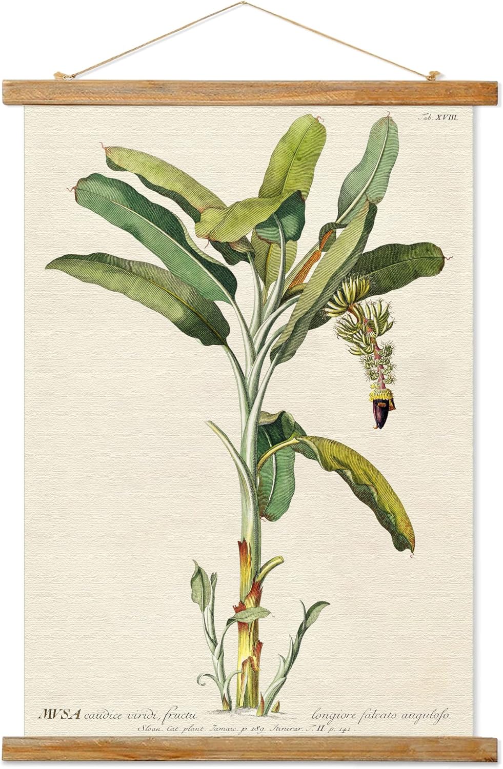 Vintage Banana Tree Poster Hanger Frame, Retro Style of Wall Art Prints, Printed on Linen with Natural Wooden Frames