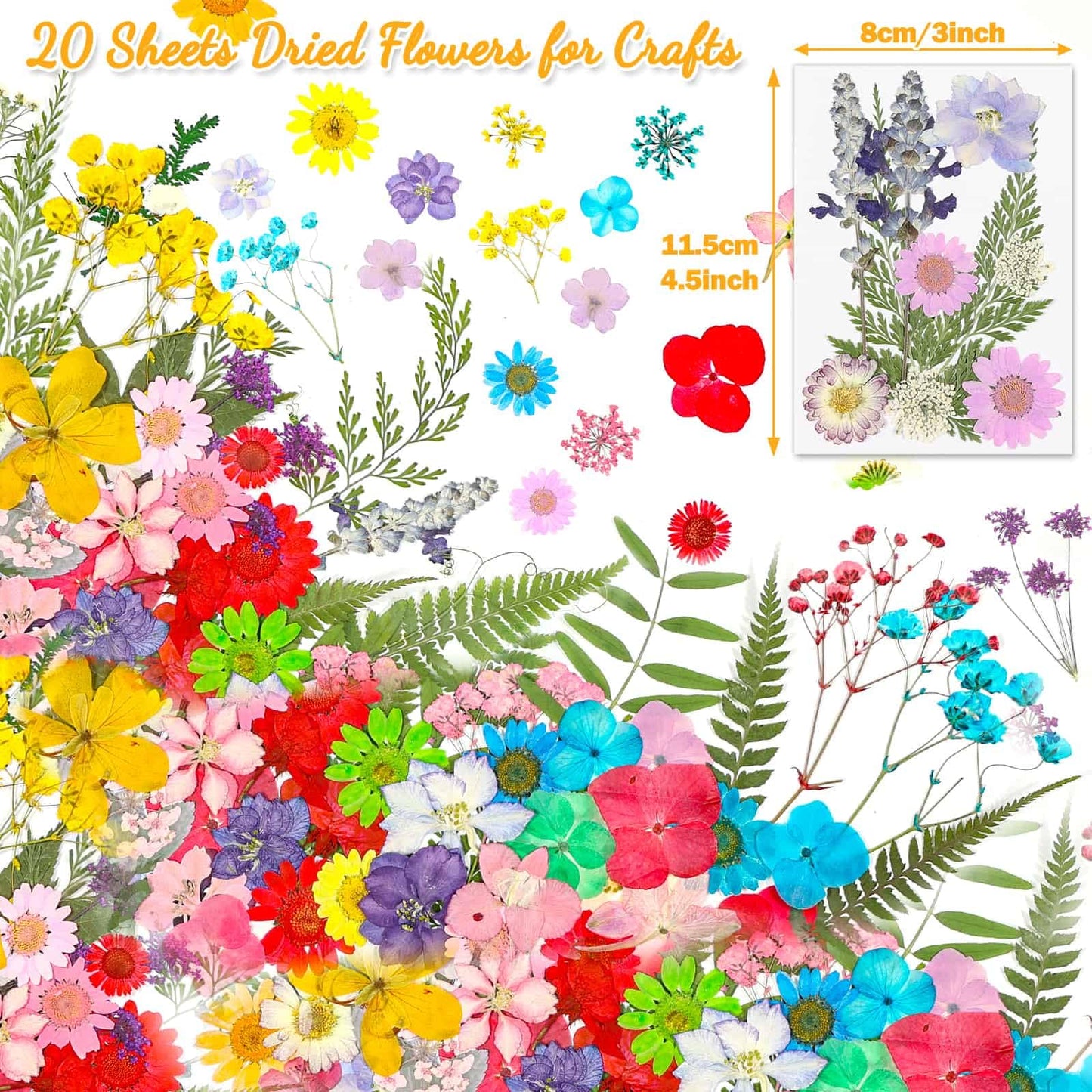200 Pcs Dried Pressed Flowers for Crafts, 20 Sheets Real Dry Florals and Leaves Bulk with Tweezer for Resin Molds Candle Soap Making Scrapbook Bookmarks Frames Supplies Kit Nail Art Makeup Decor