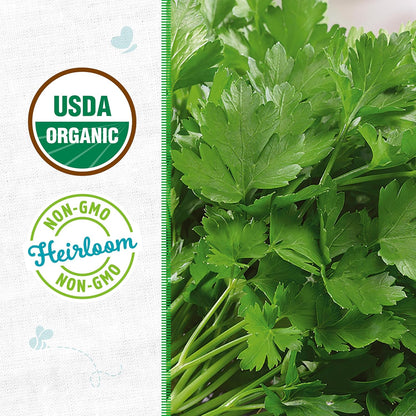 100% Packet 420mg Back to The Roots Organic Seed - Parsley 'Italian Large Leaf'