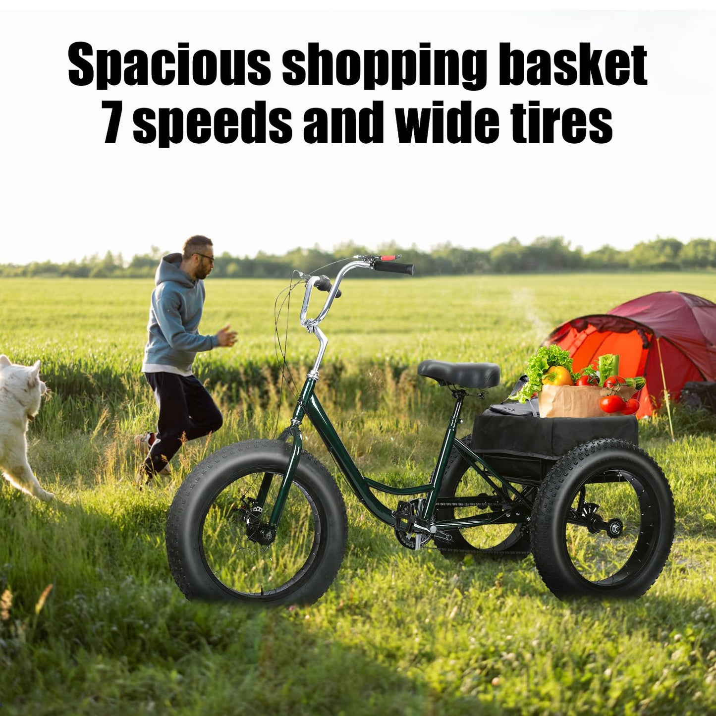 Yirtree 20 Inch Fat Tire Adult Tricycle, 7-Speed Drift Trike with Dual Disc Brakes, Snow Tires, and Spacious Basket, 3-Wheel Bike for Seniors and All Roads Riding Snow Tire