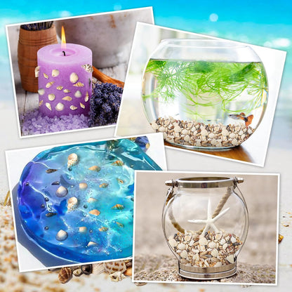 Ira Pollitt Tiny Natural Mixed Ocean Sea Shells, 500pcs, Tiny Miniature Beach Critter Seashells for Crafts, Home