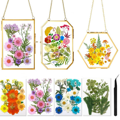 IcosaMro 3 Pack Double Glass Frame for Pressed Flowers 4"x 6" Adult Craft Kits with Brass Glass Frames & 4 Sheets Pressed Flower, Window Hanging Wall Decor Frame for Dried Flowers Leaves Plants