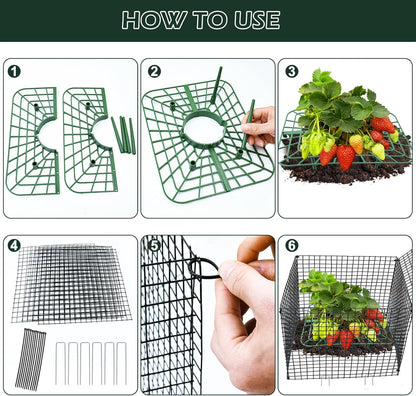 4 Sets 12x12Inch Upgraded Strawberry Supports with Wire Plant Protectors from Animal Sturdy Metal Wire Plant Cages Mesh