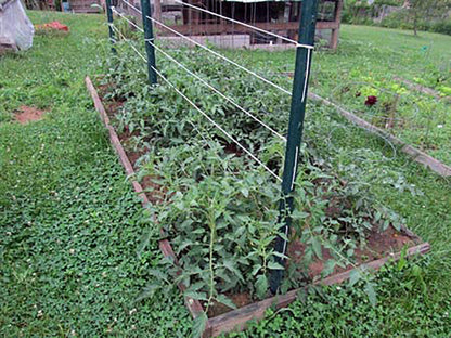 IRRIGATION-MART 6300FT Tomato Tying Garden Twine