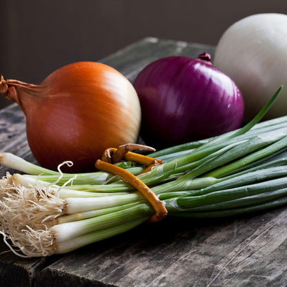 Sets, 8 oz, Non-GMO Onion Red, White, Yellow Mix, Home Garden Assortment, Planting Guide Included, Stargazer Perennials