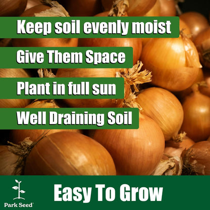 135-Day Bulbs, Pack 200 Park Seed Candy Hybrid Onion Seeds Day-Neutral Yellow Variety, Early and Flavorful Maturity