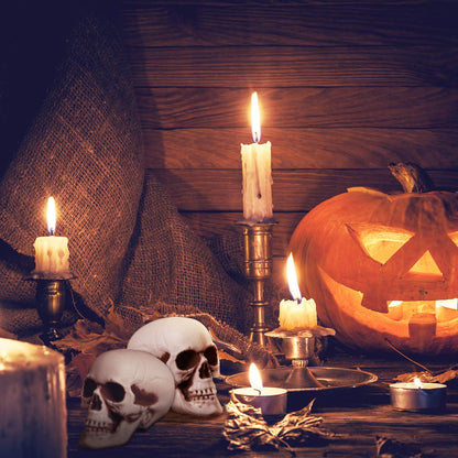 Boao 8 Pieces Halloween Skulls 2.0 x 2.4 x 3.1 Inches Realistic Looking Skulls Human Skeleton Head for Halloween Bar Home Table Decoration
