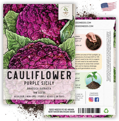 (5 Packs) Seed Needs Cauliflower Seeds for Planting Purple of Sicily Cauliflowers - Non-GMO Heirloom & Untreated