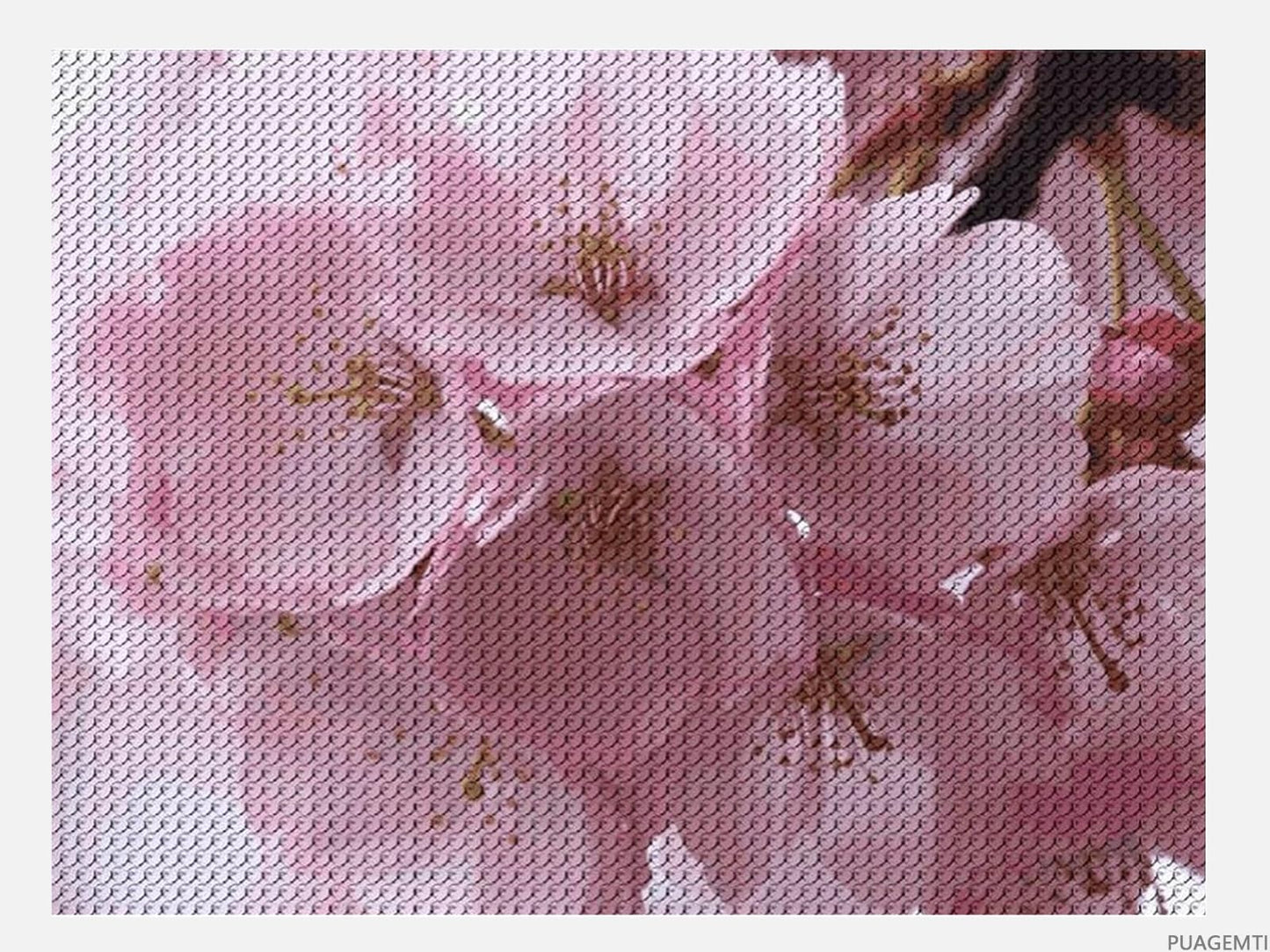 PUAGEMTI 5D Diamond Painting Kits for Adults Beginner Round 5D DIY Diamond Dots Paintings Full Drill Cherry Blossoms Diamond Painting Gem Art Kits for Home Wall Decor 12x16 INCH
