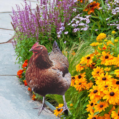 2Pcs Happyyami Acrylic Chicken Yard Art - Decorative Hen Lawn Stakes for Garden Decoration, Outdoor Decor for Patio