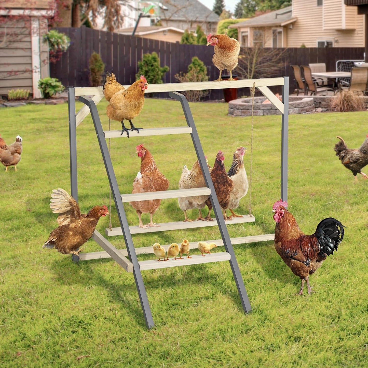 PETSFIT Chicken Perch for Coop-Solid Wood and Rustproof Iron Roosting Bar with Swing - Ideal for Backyard Poultry