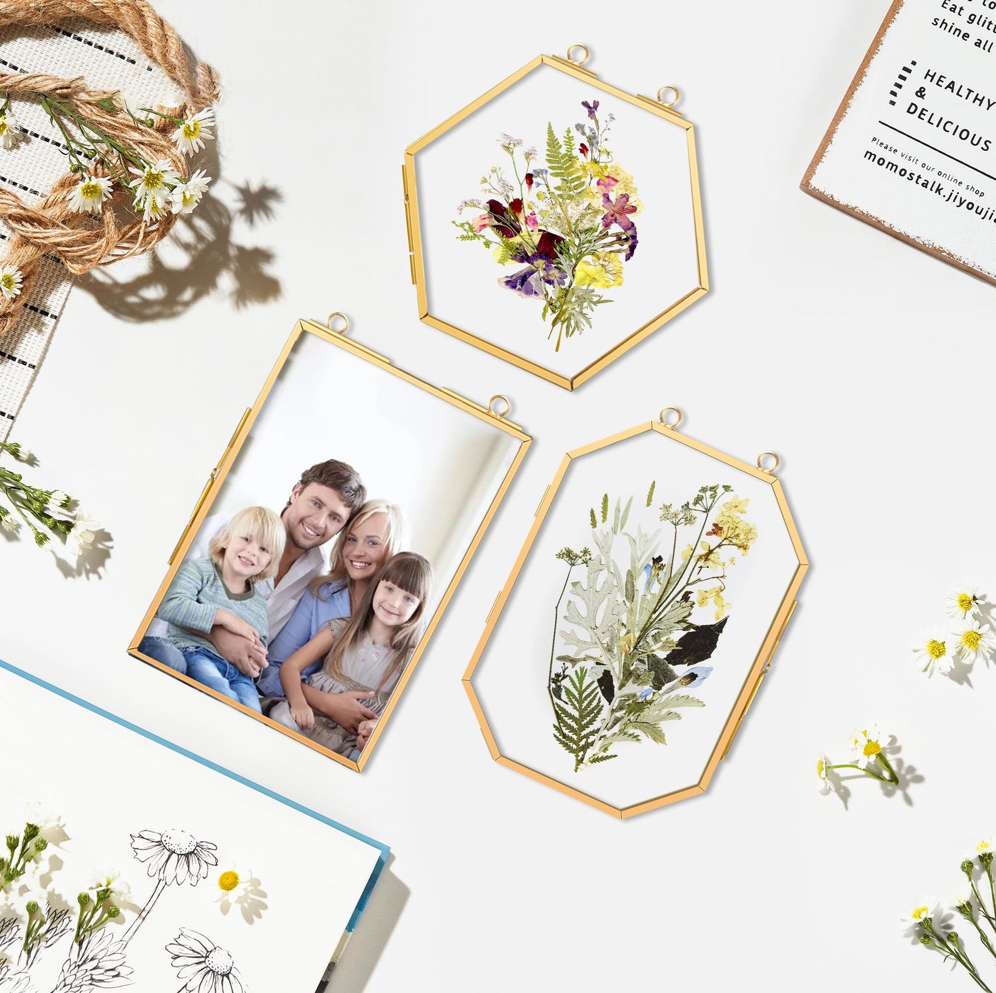 BABUFINE Pressed Flower Frames with Tweezers, Wall Hanging Double Glass Picture Frames with Chain for Dried Flowers Plants Wall Decor,Only Frame (Gold-3PCS)