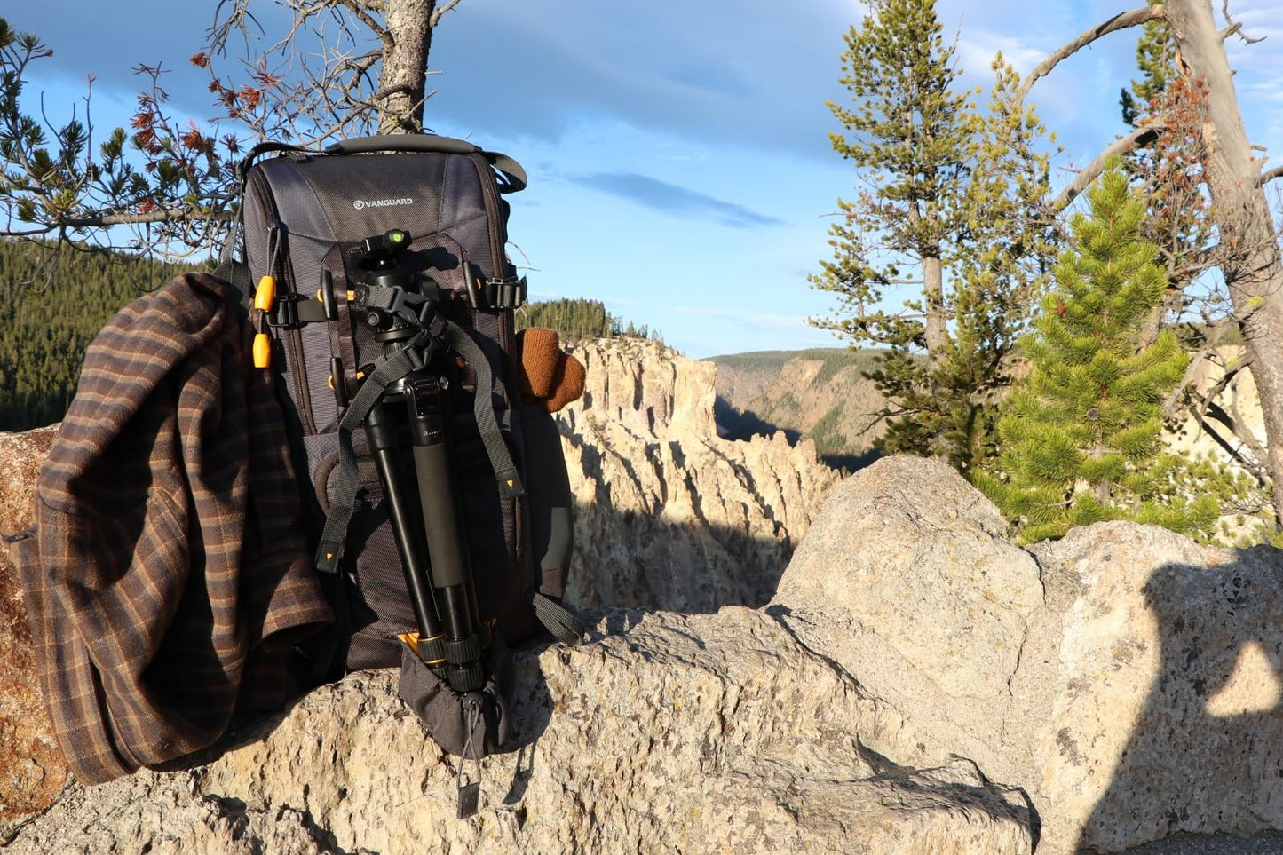 VANGUARD Alta Sky 45D Camera Backpack for Sony, Nikon, Canon, DSLR, Drones