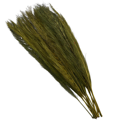 Deco 79 Dried Plant Leaves Home Decor Natural Foliage Natural Dried Foliage with Feather Inspired Stems, Foliage for Decoration 4" x 1" x 35", Green