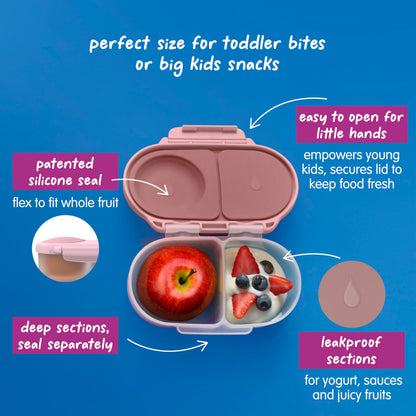 b.box Snack Box - Leakproof Mini Bento Box for Kids & Toddlers, 2 Compartment Snack Containers for Kids, Lunch Containers, Dishwasher Safe, BPA Free, PFAS Free, Ages 4m+, 1 3/4 Cup - Blush Crush