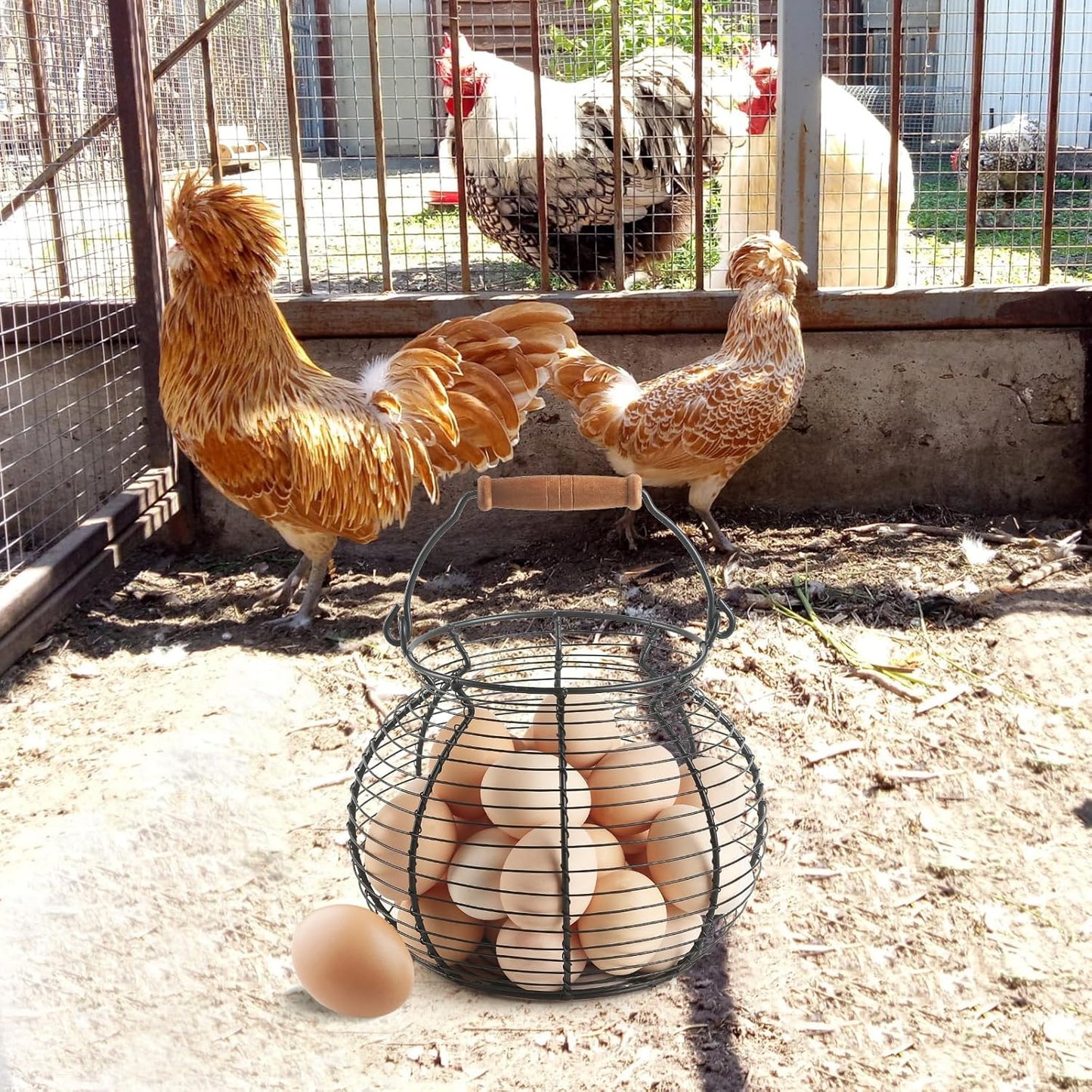 Farmhouse Round Wire Egg Basket with Handle, Metal Egg Collecting Basket for Countertop Holder (8.5 * 7.5 inch)