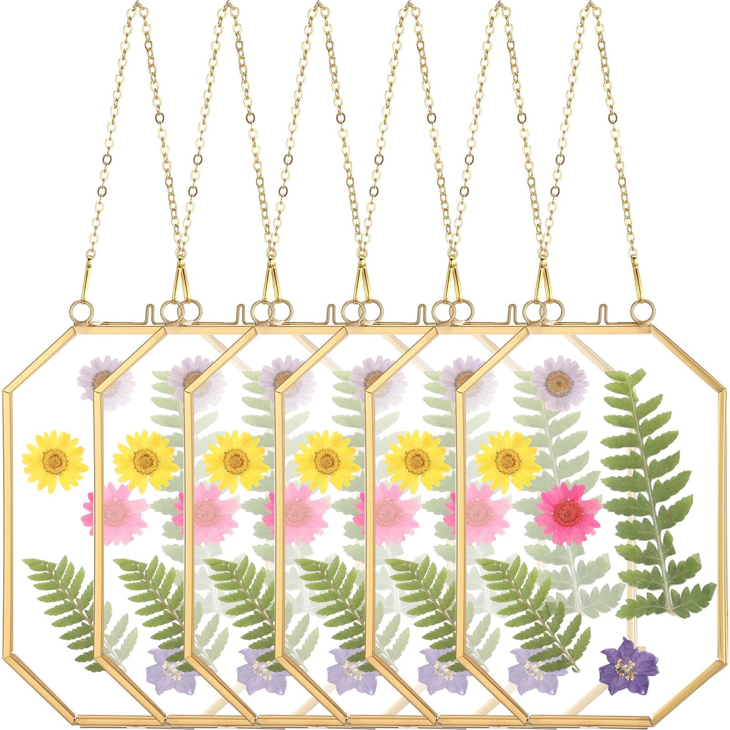 Vicenpal 6 Pcs 4 x 6 Inch Pressed Flower Frames Bulk, Floating Wall Hanging Double Glass Picture Frames with Metal Chain for Display Gallery Dried Plant Wedding Gifts for Mom Friends DIY Handy Craft