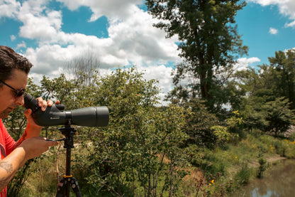 Vanguard VEO 5 264CO28 Full-Size Carbon Fiber Tripod with VEO PH-28 2-Way Pan Head