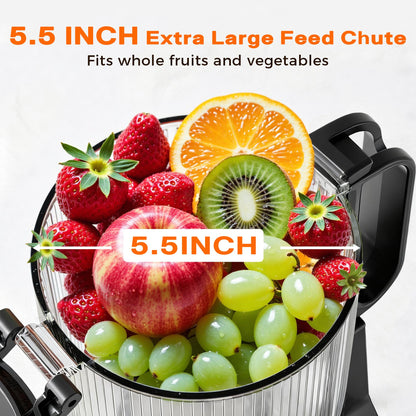 Cold Press Juicer with 5.5" Wide Feed Chute, Slow Masticating Juicer Machine for Whole Fruits & Vegetables, High Juice Yield, Gray