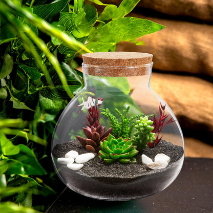 Cabilock Glass Terrarium Jar with Cork Lid, Ecological Bottle Micro Landscaping Bottle Storage Container Home Office Decor for Succulents Ferns and Decorative Plants