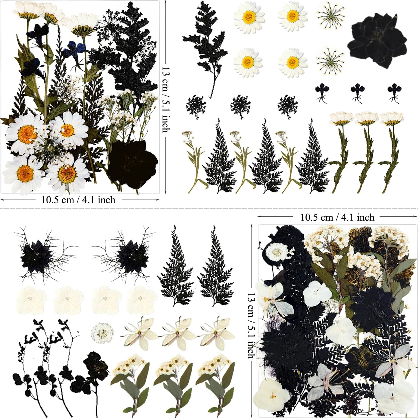MIKIYA 84Pcs Black Dried Pressed Flowers for Resin Molds, Bulk Real Natural Dry Floral for DIY Art Crafts, Epoxy Jewelry, Candle, Soap Making, Nails Decor, Phone Case